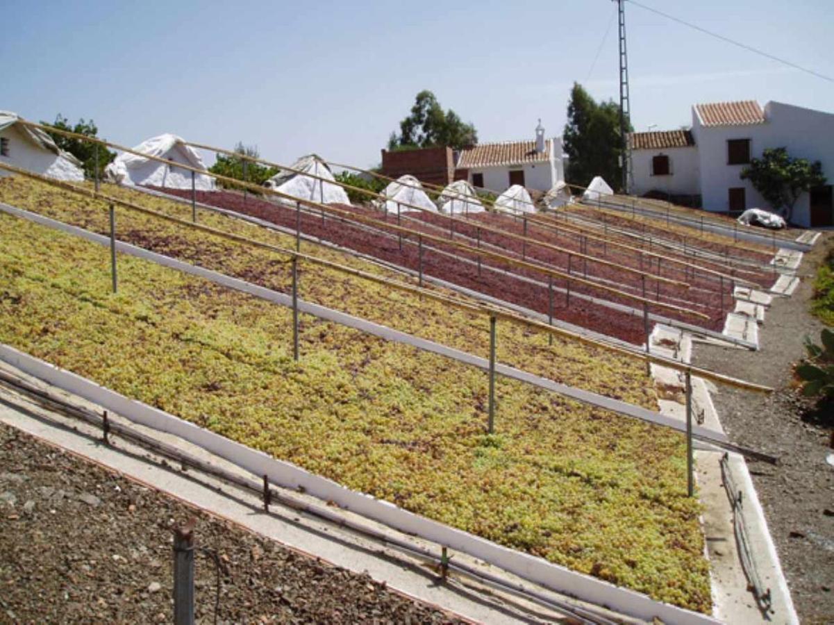 Casa Mirador Las Claras Con Piscina Privada Jardin Villa Iznate Esterno foto